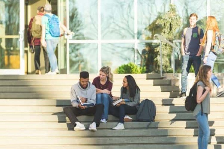 AI Engineer Certification