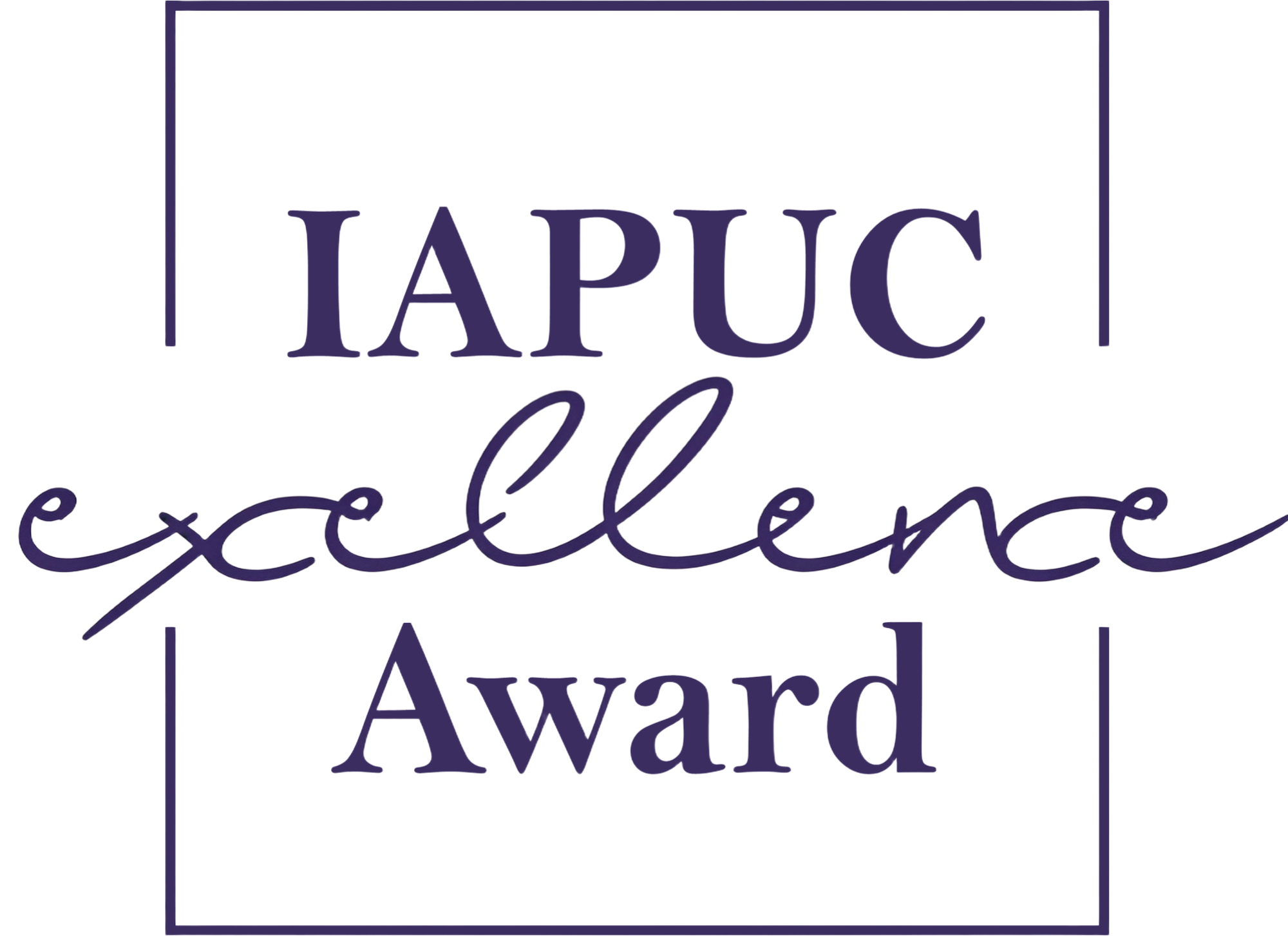 https://www.iapuc.org/wp-content/uploads/2026/07/图片18.png